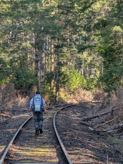A person wearing a technical backpack walks down railroad tracks in the forest