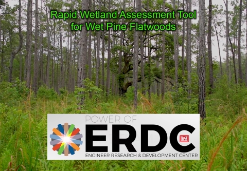 Rapid Wetland Assessment Tool USACE
