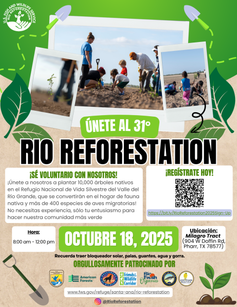 Flyer promocional del evento Río Reforestación 2025. Muestra a personas, incluyendo niños, plantando árboles en un campo. El texto invita a unirse como voluntario para plantar 10,000 árboles nativos en el Refugio Nacional de Vida Silvestre del Valle del Río Grande el 18 de octubre de 2025, de 8:00 a.m. a 12:00 p.m. en el Milagro Tract en Pharr, Texas. Incluye un código QR para registrarse y logos de patrocinadores como American Forests, Friends of the Wildlife Corridor y otros