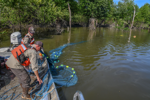 The trawl is being played out as the boat maneuvers in a crescent path.