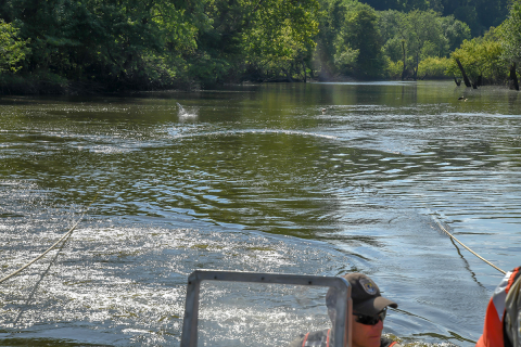 The trawl is sampling a transect