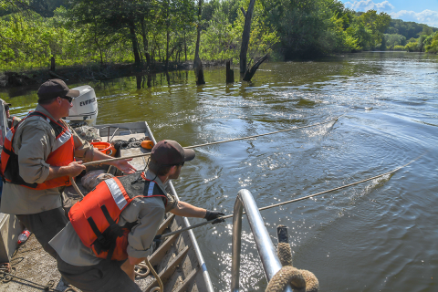 The sampling run has been completed and the crew is pulling in the Warps to retrieve the net.