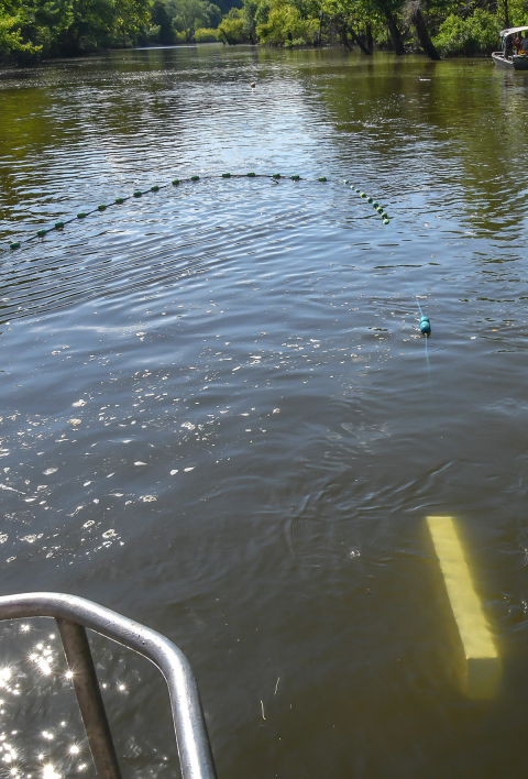 The trawl is coming near the boat