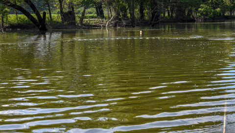 The bow trawl is fully deployed