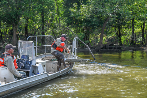Left side crew is retrieving their Otter board at the end of the sampling run.