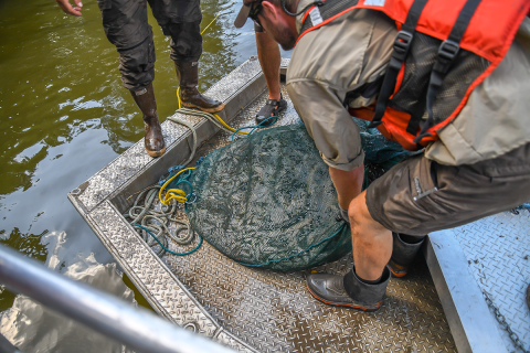  7. The trawl has been retrieved