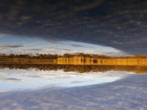 a view over water in a pond reflecting the sky and a forest visible across the water