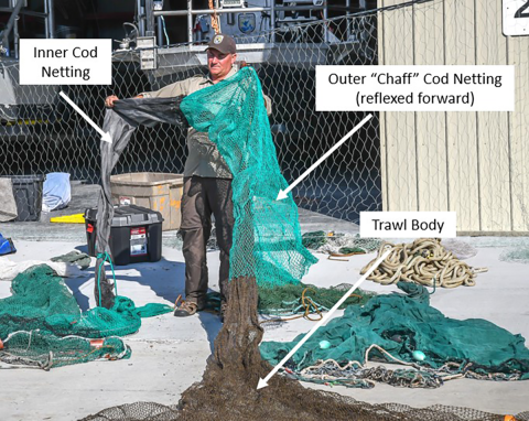 This is the same trawl but with the outer chaff netting reflexed forward to reveal the inner smaller-mesh cod netting