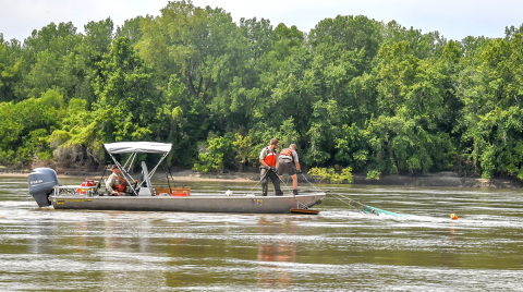 Hand trawling operation