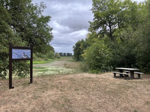 Picnic area overlook of lake behind interpretive sign and picnic table