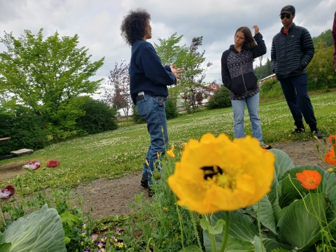 Bumble bee gathers pollen unnoticed by pollinator fans as they tour the garden and learn how to attract bees and butterflies to their gardens.