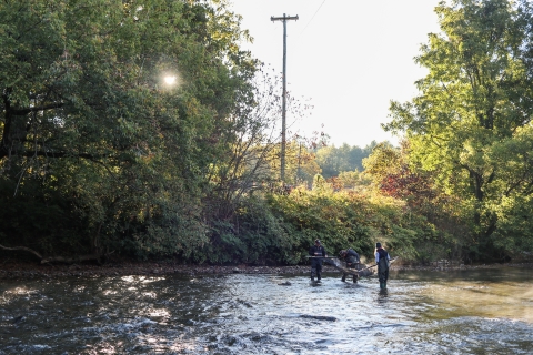 Three people with a seine in a shallow river