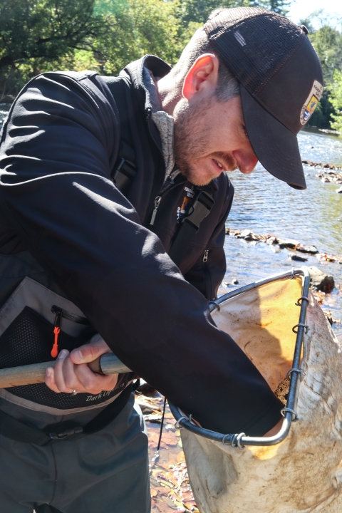 Man holding a small net, reaching into the net