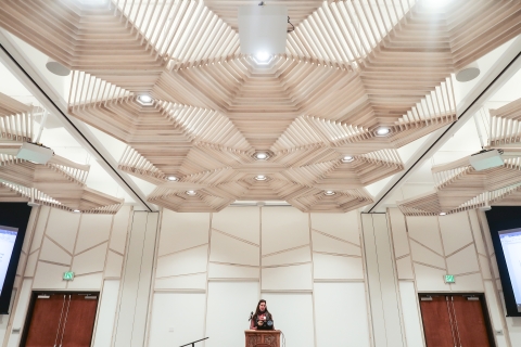 Woman standing at a podium in a large meeting room