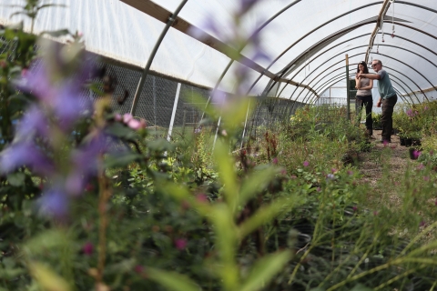 Two people standing next to one another in a greenhouse, one person pointing