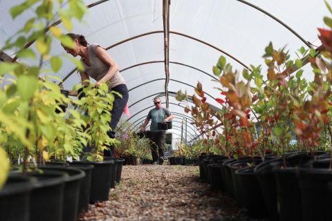 Two people carrying potted plants in a greenhouse