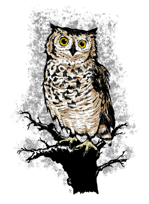 Illustration of an own