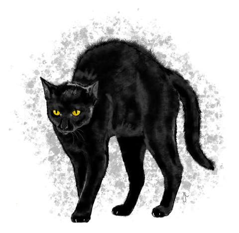 Drawing of a black cat