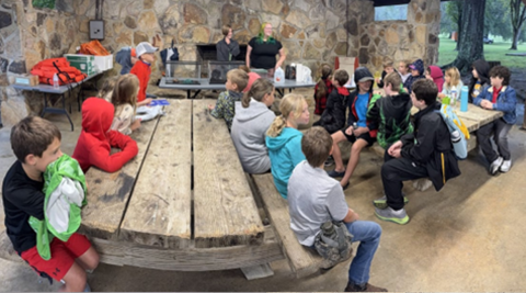 Animals Introductions