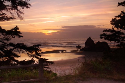 view of ocean and beach sunset framed by trees
