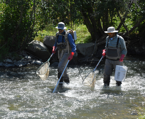 Backpack crews of two with a single hand-held electrode and cable cathode (“rattail”).
