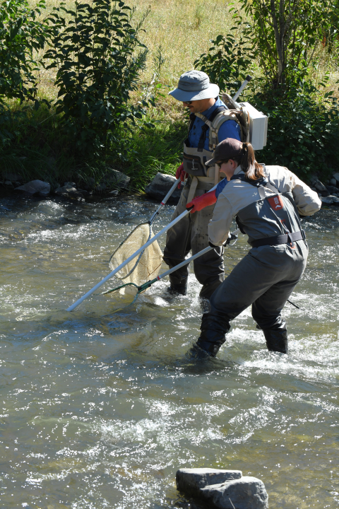 Backpack crews of two with a single hand-held electrode and cable cathode (“rattail”).