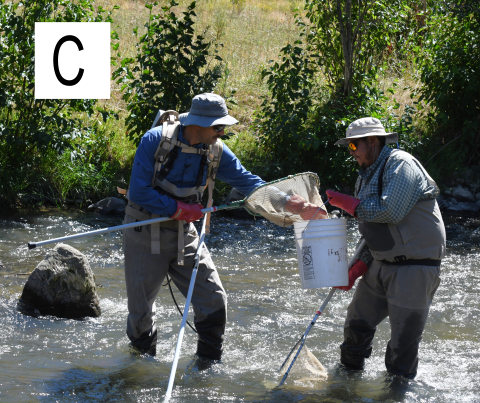 A, B & C Backpack crews of two with a single hand-held electrode and cable cathode (“rattail”)