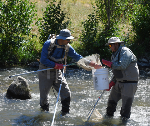 Backpack crews of two with a single hand-held electrode and cable cathode (“rattail”).