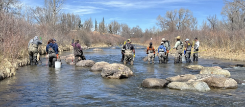 Deployment of side-by-side backpack electrofishers used to cover larger stream widths. 