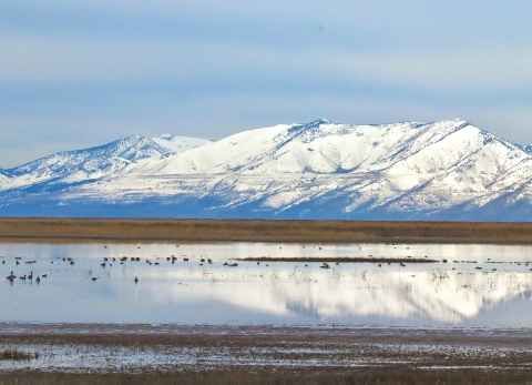 Vast flooded mudflat with a wide snow-capped mountain range visible in the distance.