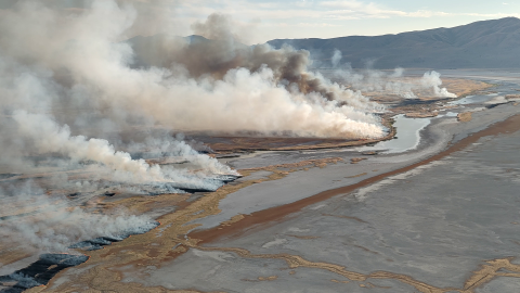 Smoke rises from a fire along the edge of a wetland.
