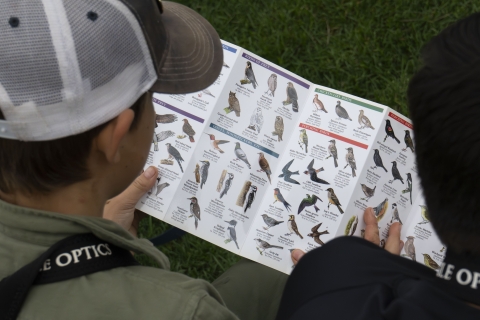 View over the shoulders of two kids as they look through an Alaska birds guide for identification practice.