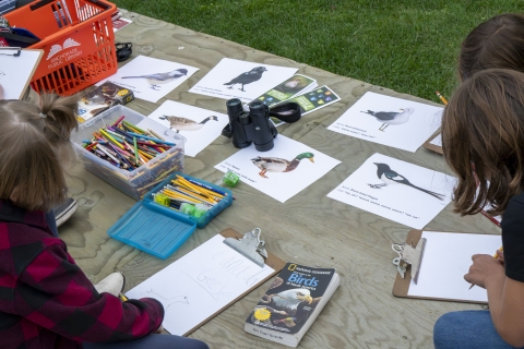 Kids sit on a wood deck on a public lawn with bird pictures and drawing material as they sketch their own birds on clipboards with paper.