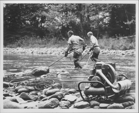Two men, dressed in what appear to be U.S. Fish and Wildlife Service uniforms, moving through the center of a creek or stream, and each using electro-shockers, which are long, pole-mounted devices with wires coming out of the back; in the foreground on the stream bank is an engine (powering the devices, presumably), and a large metal tub. The men also wear rubber wadding boots, and rubber gloves. The stream bank in the background is densely lined with trees.