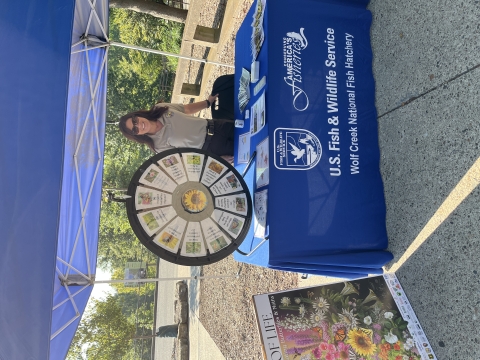 person standing behind a table