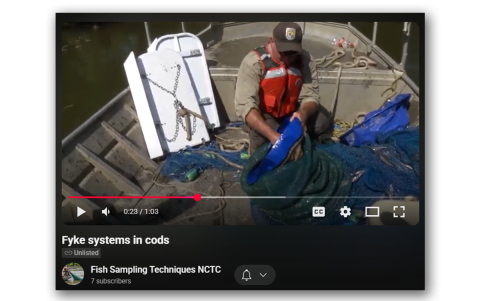 Fyke Systems in Cods