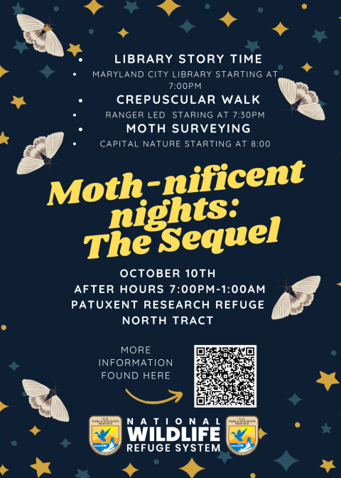 Patuxent Moth Night