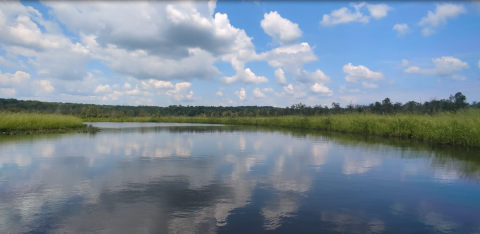 The view of the Rappahannock River at Cat Point Creek