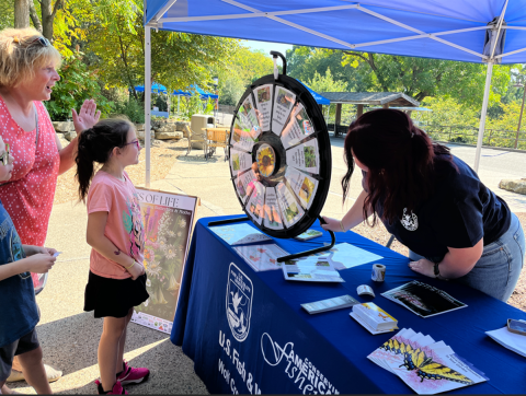 Young girl looking at a wheel 