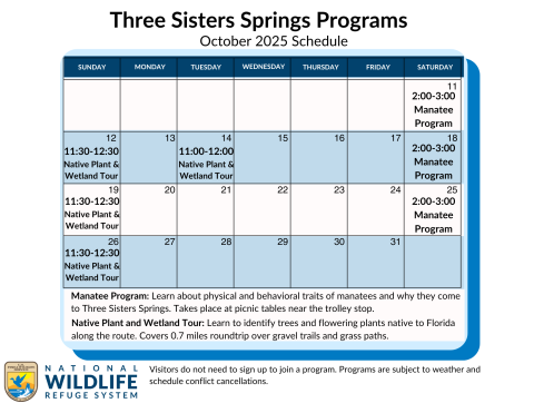 Three Sisters Springs Program Schedule October 2025 has the manatee program available on 10/11, 10/18, 10/25 2:00-3:00. Manatee program at Three Sisters Springs: Stationary program at picnic benches near the boardwalk at Three Sisters Springs. We show bones and talk about manatee biology- physical and behavioral traits of manatees, why they come to Three Sisters Springs, and why they are threatened. The Native Plant and Wetland Tour is 11:30-12:30 10/12, 10/19, 10/25 and 10/14 11-12.