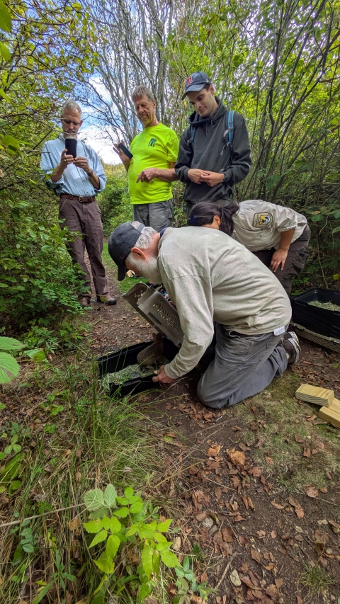 Image of rabbits being released
