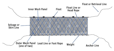Trammel Net Anatomy