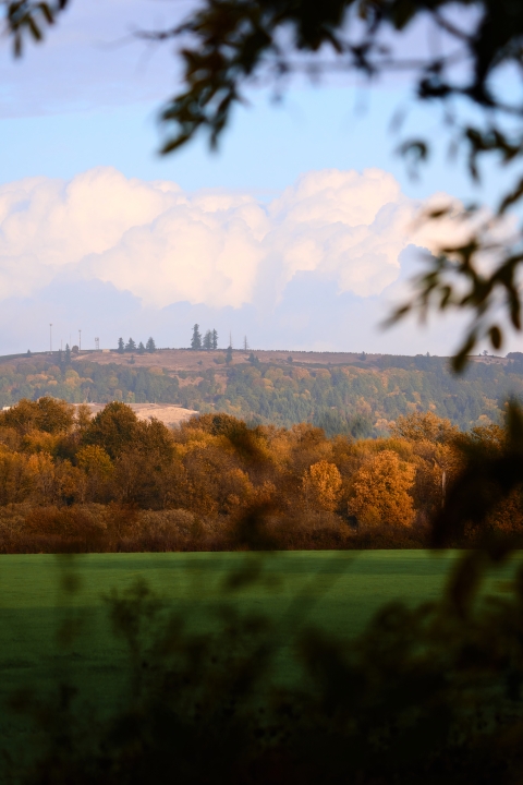 Fall colors on the trees on a cloudy day