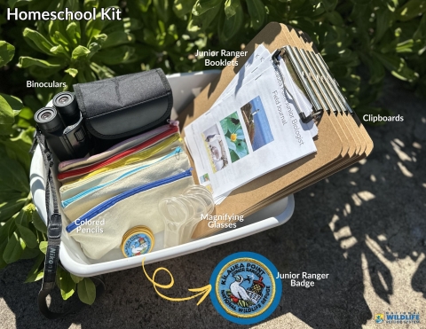 An image of a bin with binoculars, clipboards, colored pencils magnifying glasses and Junior Ranger badges. 