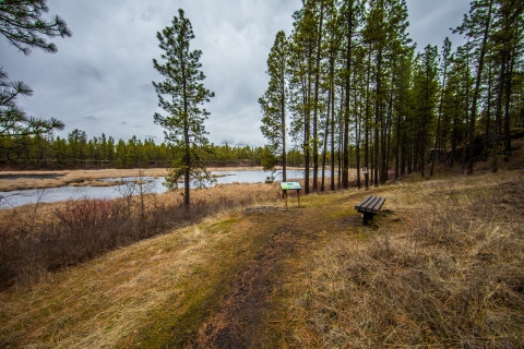 A small wayside and bench mark a point of observation along a trail