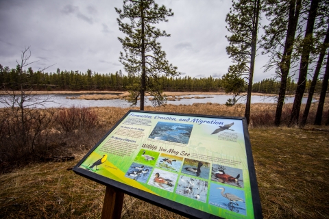 A wayside panel next to a wetland