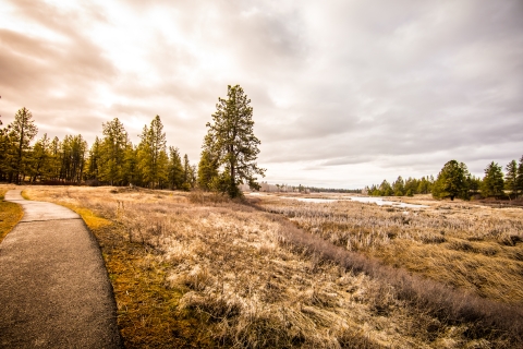 A paved trail winds between pines and wetlands
