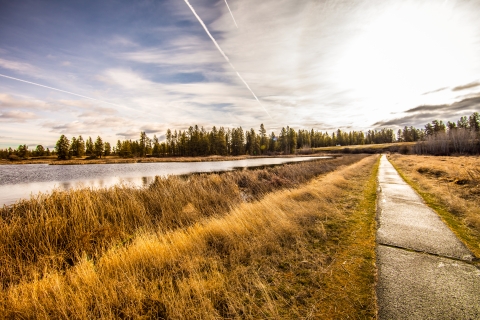 A paved trail passes next to a wetland