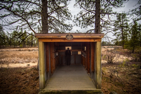 A bird blind adjacent to a wetland