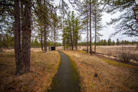 A paved trail leads to a bird blind